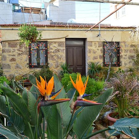 Mystery Garden Guest House ฟามากุสต้า ภายนอก รูปภาพ