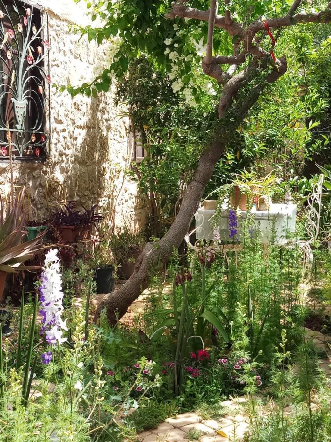 Mystery Garden Guest House ฟามากุสต้า ภายนอก รูปภาพ