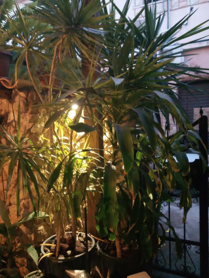 Mystery Garden Guest House ฟามากุสต้า ภายนอก รูปภาพ
