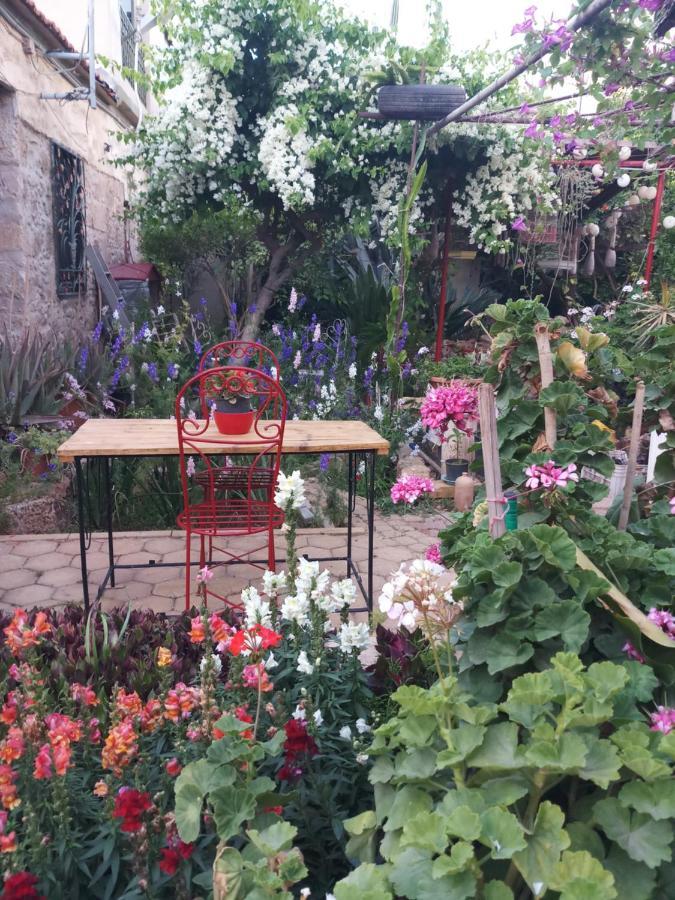 Mystery Garden Guest House ฟามากุสต้า ภายนอก รูปภาพ