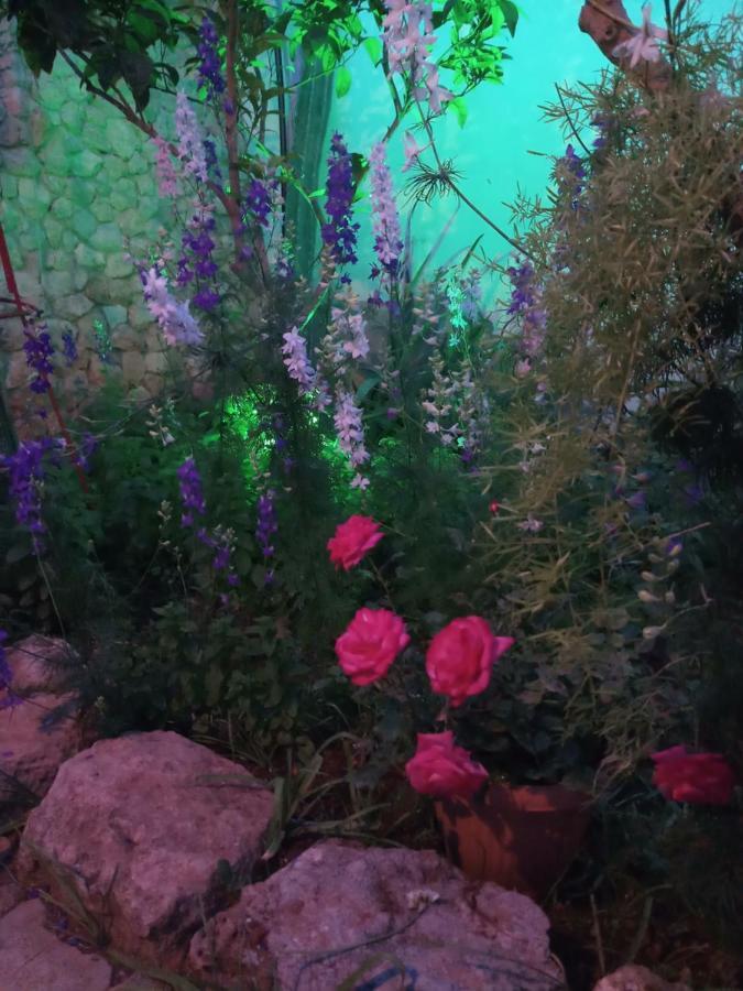 Mystery Garden Guest House ฟามากุสต้า ภายนอก รูปภาพ