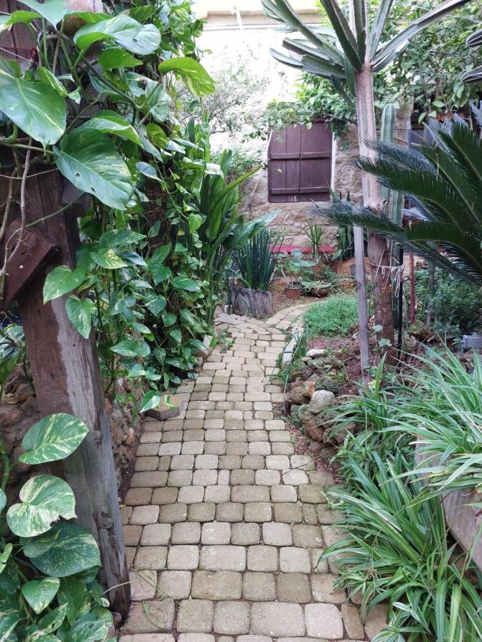 Mystery Garden Guest House ฟามากุสต้า ภายนอก รูปภาพ