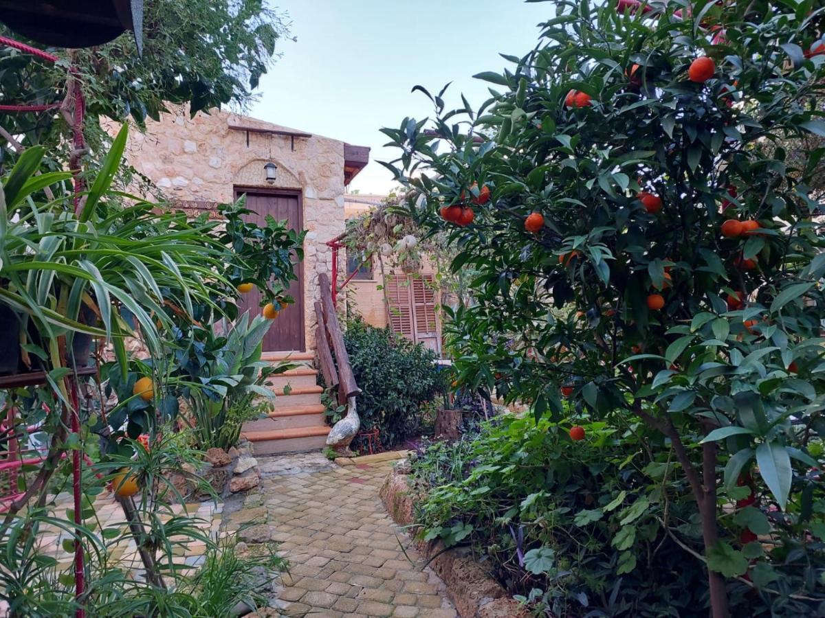 Mystery Garden Guest House ฟามากุสต้า ภายนอก รูปภาพ