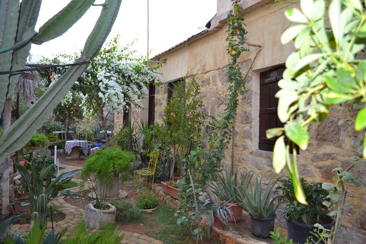 Mystery Garden Guest House ฟามากุสต้า ภายนอก รูปภาพ