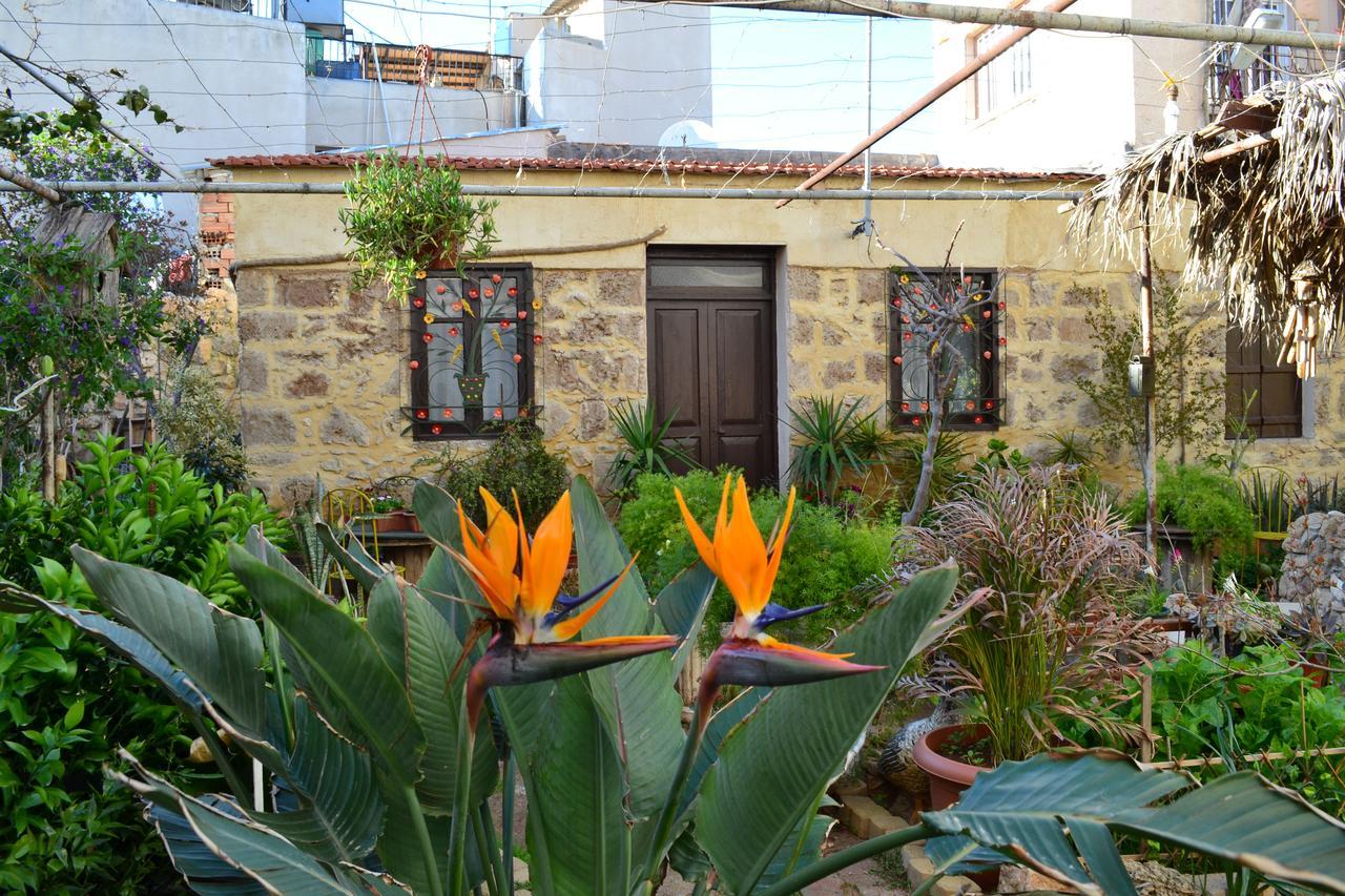 Mystery Garden Guest House ฟามากุสต้า ภายนอก รูปภาพ