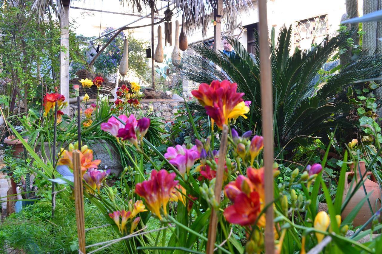 Mystery Garden Guest House ฟามากุสต้า ภายนอก รูปภาพ