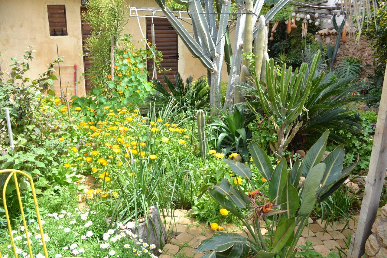 Mystery Garden Guest House ฟามากุสต้า ภายนอก รูปภาพ