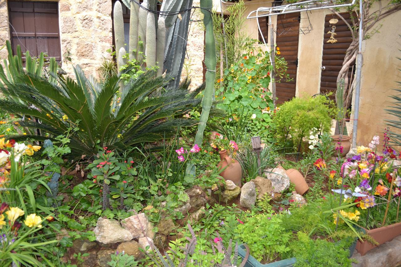 Mystery Garden Guest House ฟามากุสต้า ภายนอก รูปภาพ