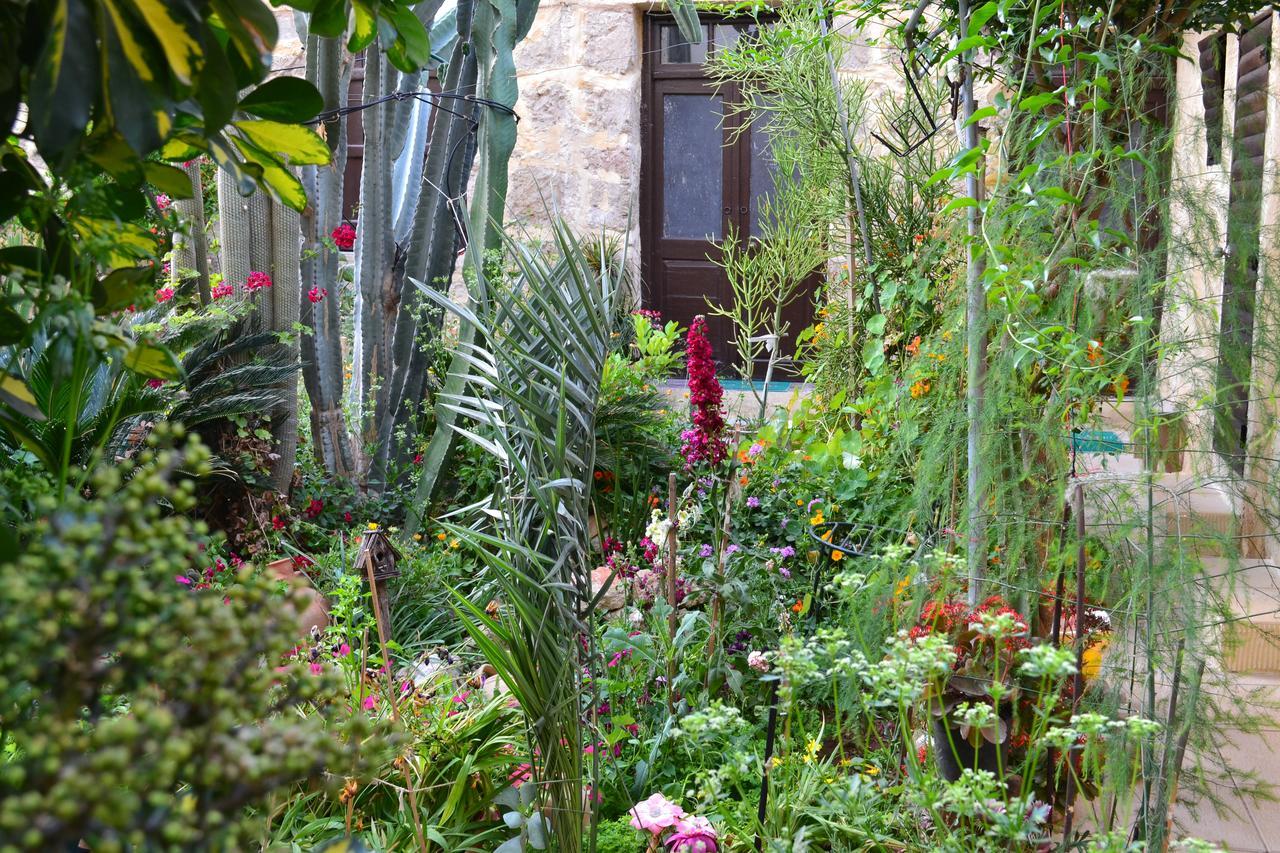 Mystery Garden Guest House ฟามากุสต้า ภายนอก รูปภาพ