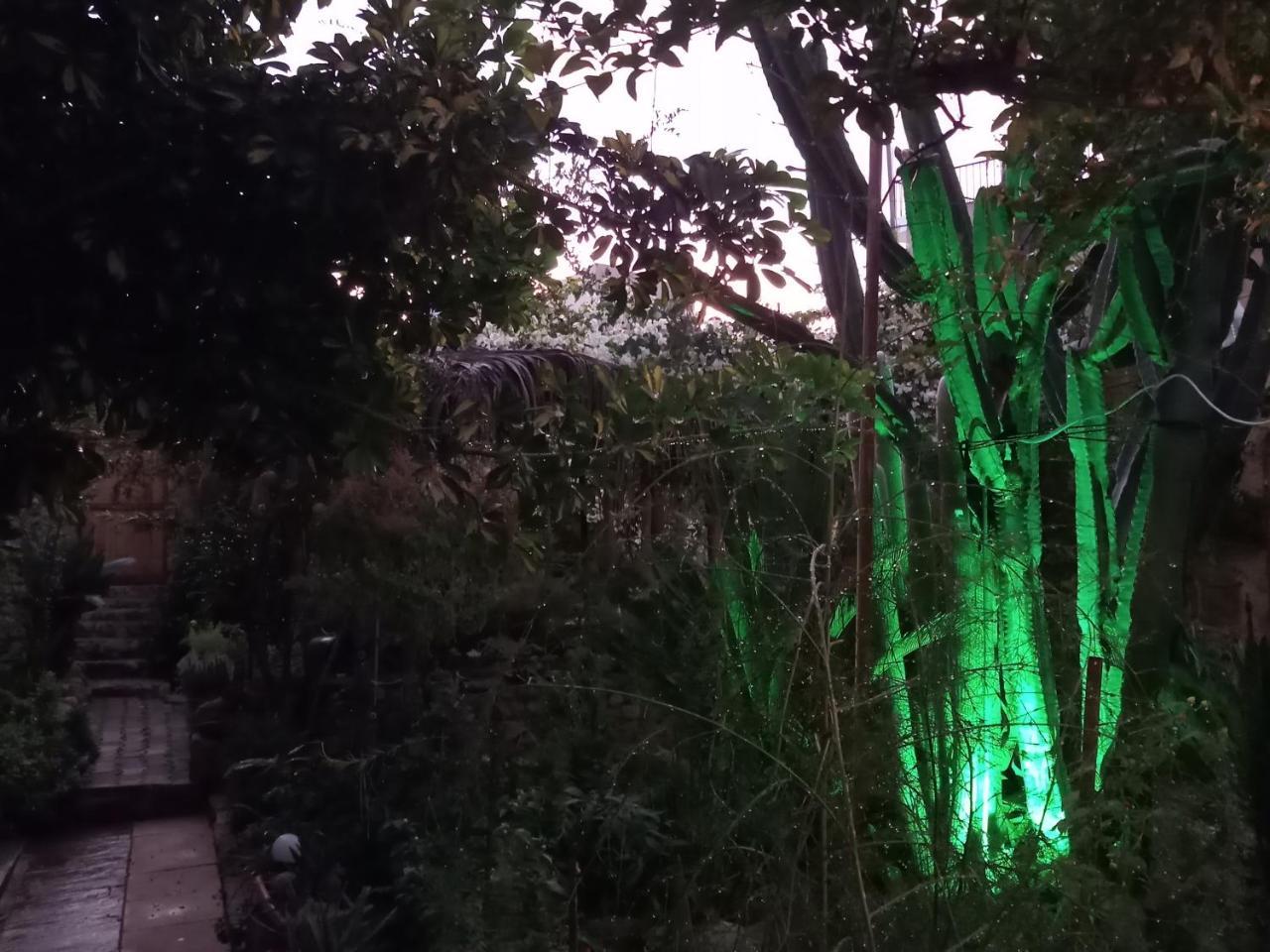 Mystery Garden Guest House ฟามากุสต้า ภายนอก รูปภาพ