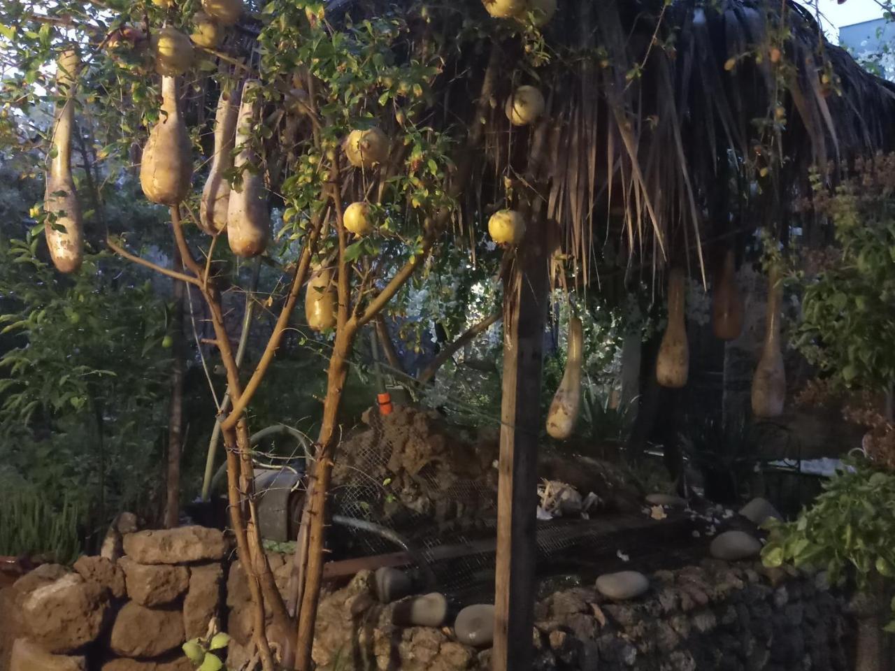 Mystery Garden Guest House ฟามากุสต้า ภายนอก รูปภาพ