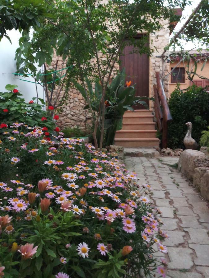 Mystery Garden Guest House ฟามากุสต้า ภายนอก รูปภาพ