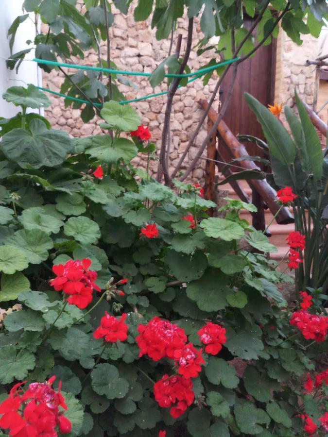 Mystery Garden Guest House ฟามากุสต้า ภายนอก รูปภาพ